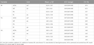 Muscle structure predictors of vertical jump performance in elite male volleyball players: a cross-sectional study based on ultrasonography